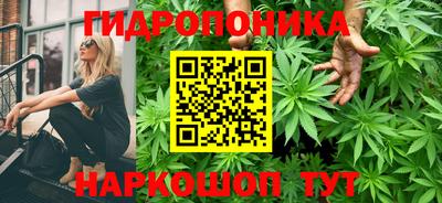 гашиш Новозыбков