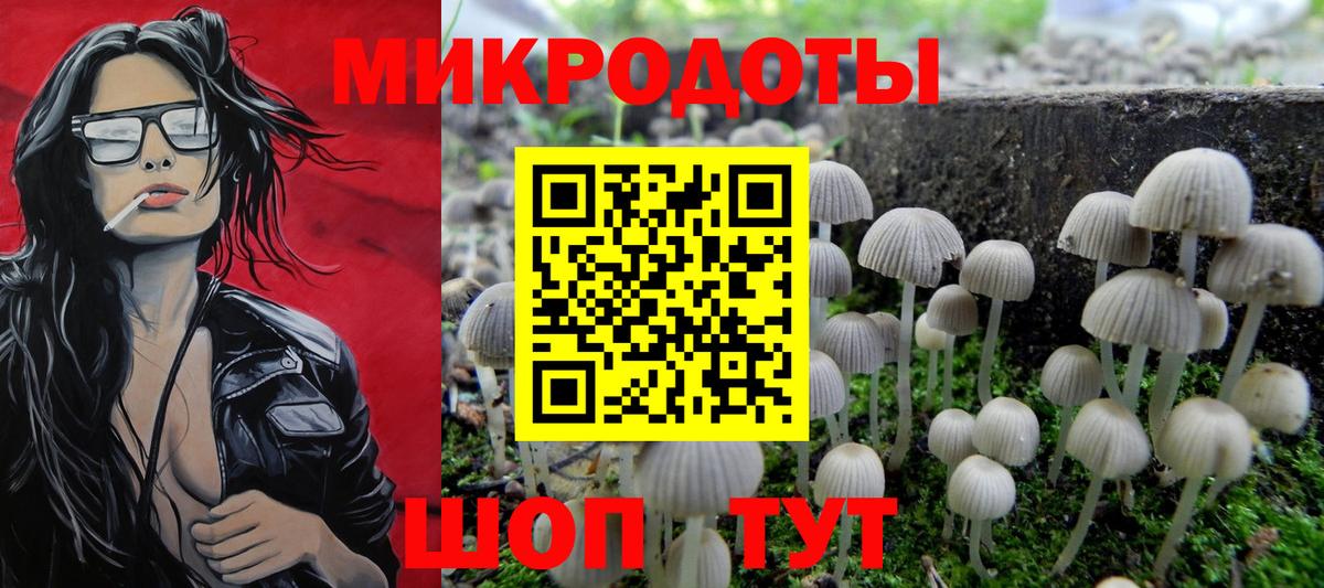 Галлюциногенные грибы мицелий Славгород