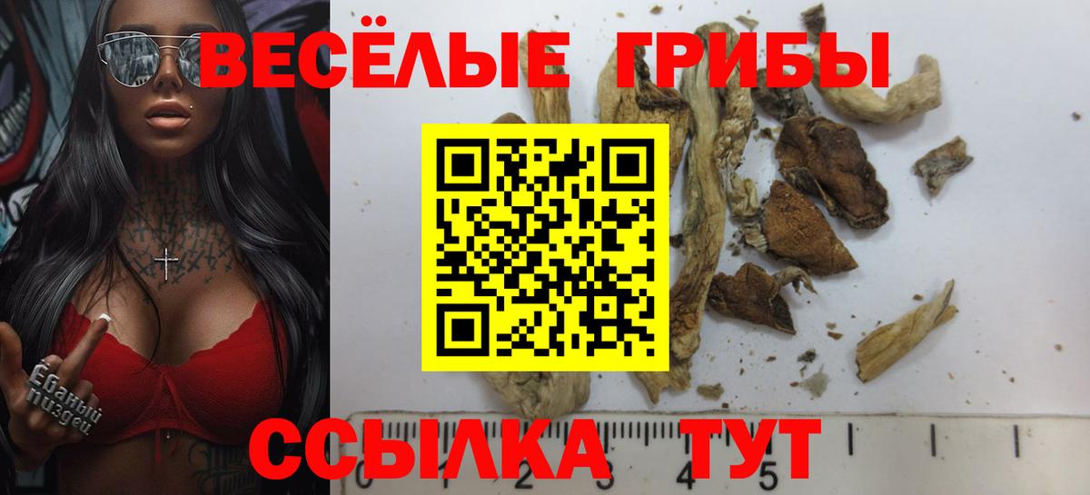 Галлюциногенные грибы Cubensis  Вход с VPN  Славгород 