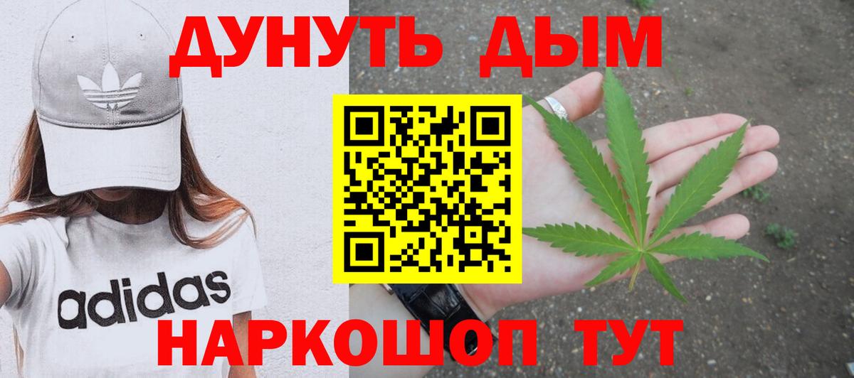 Канабис сатива Славгород